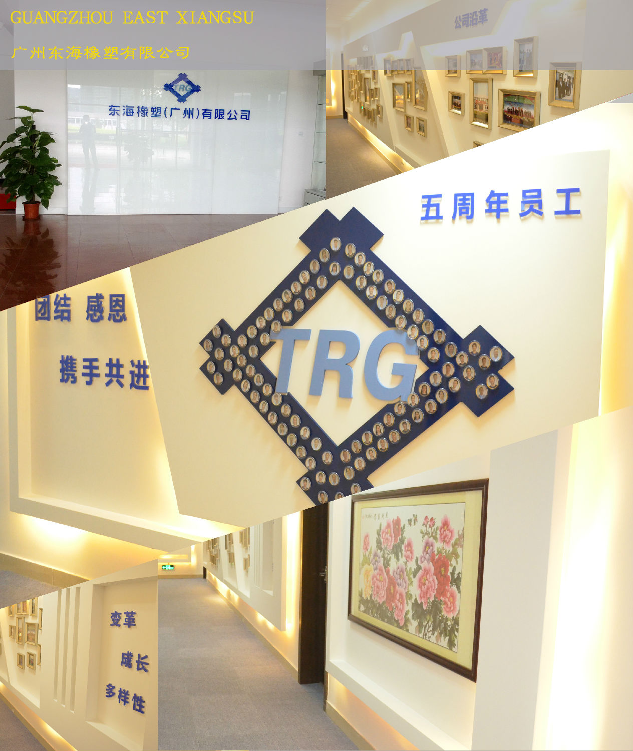 东海办公室好色TV下载.jpg